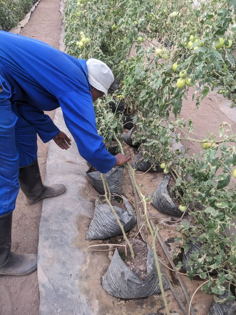 Agricultural Training