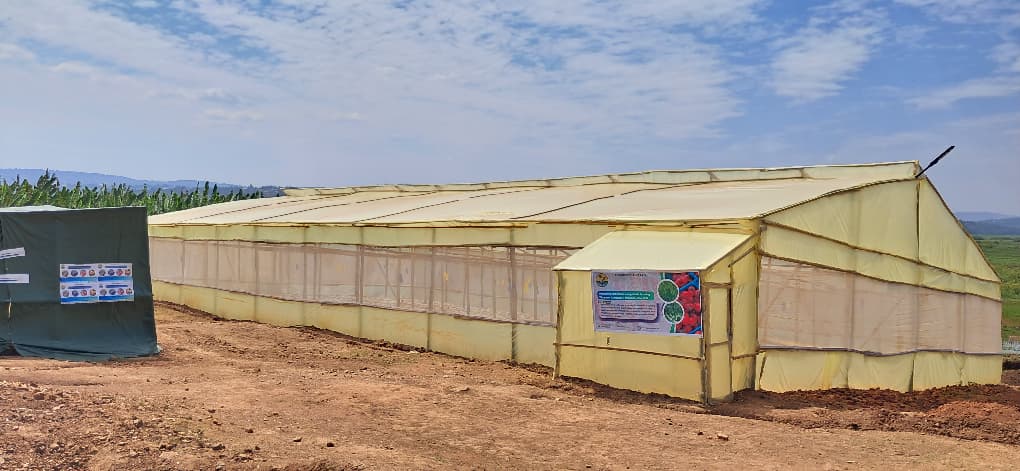 Modern greenhouse farming